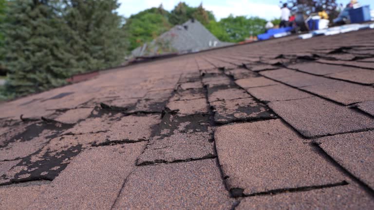 Best Asphalt Shingle Roofing  in Avilla, IN