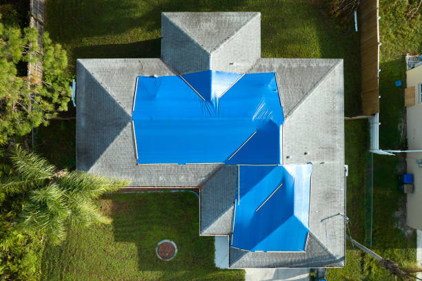 Best Sheet Metal Roofing  in Avilla, IN