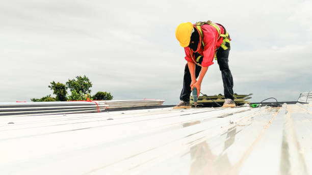 Best Skylight Installation and Repair  in Avilla, IN