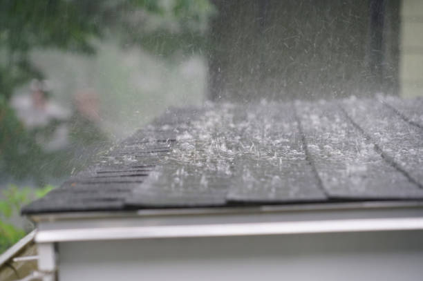 Best Storm Damage Roof Repair  in Avilla, IN