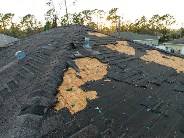 Best Gutter Installation and Repair  in Avilla, IN