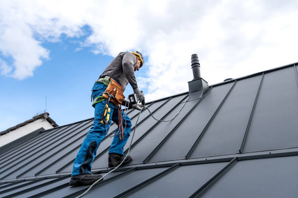 Best Asphalt Shingle Roofing  in Avilla, IN